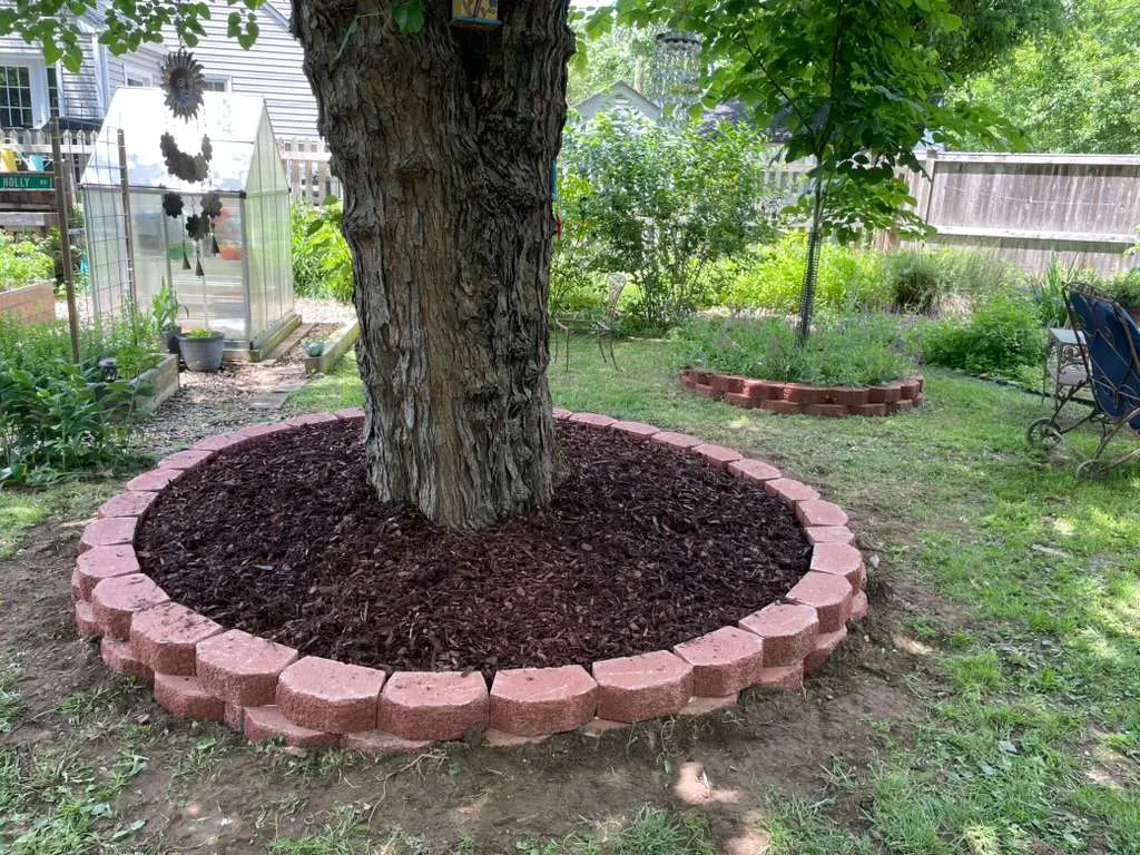 Landscaped tree ring with fresh mulch