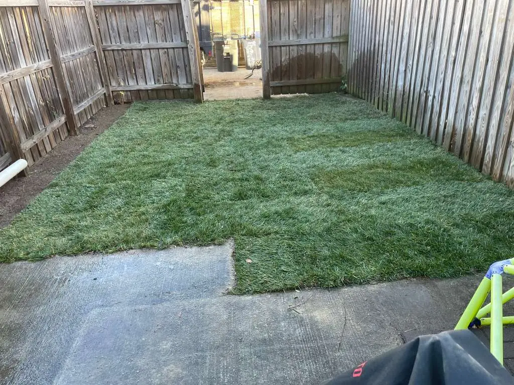 Fresh sod installation