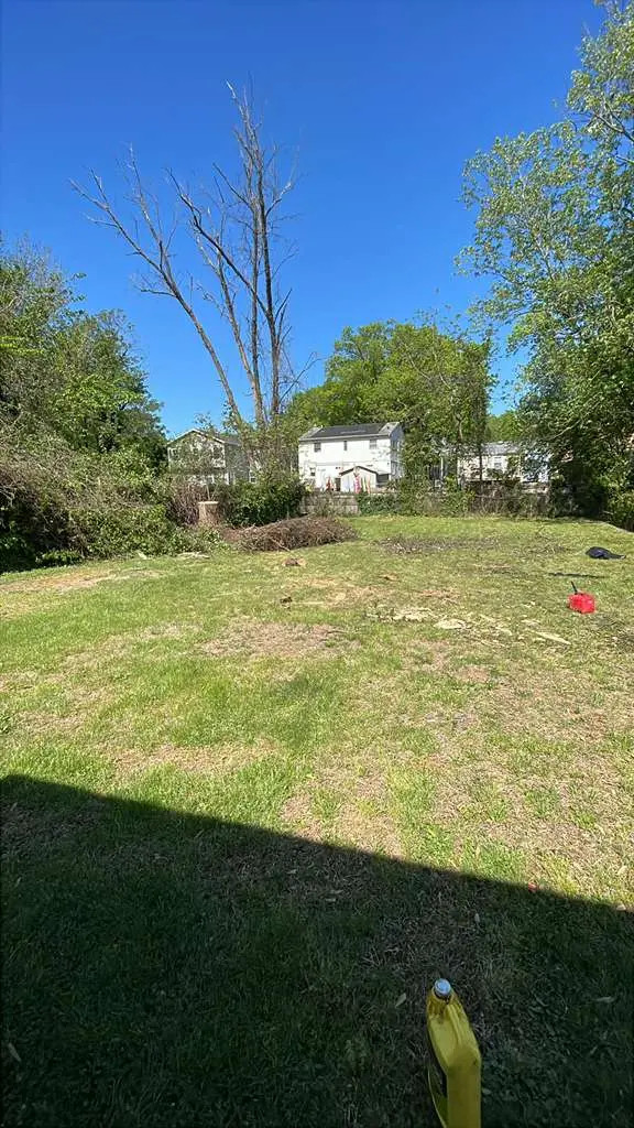 Tree Services & Yard Clearing project photo 2